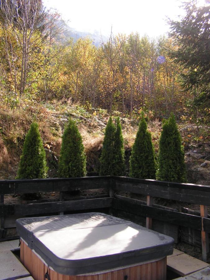 Chalet L'Ourson Villa Chamonix Exterior photo